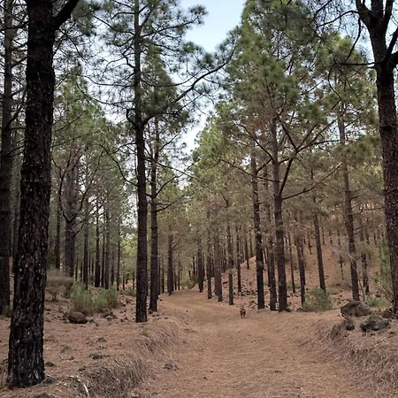 Zulia Suites, Masca, Teide Gigantes, Excursions, Ac, Wifi7 Appartamento *